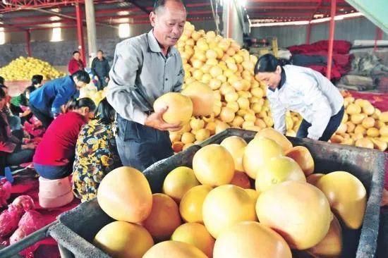 厉害了！湖北19个特产受国家保护，以你家乡命名——食用农产品批发新机遇