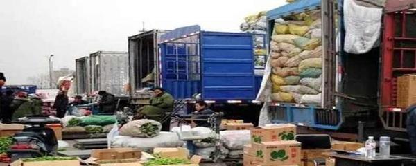 芭蕉为何不属于鲜活农产品运输“绿色通道”免费范围