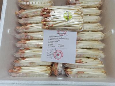 守护“舌尖上的安全” 区农业农村局扎实推进承诺达标合格证制度，筑牢食用农产品批发安全防线